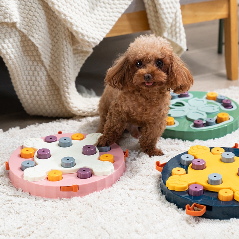 dog and puzzle feeder