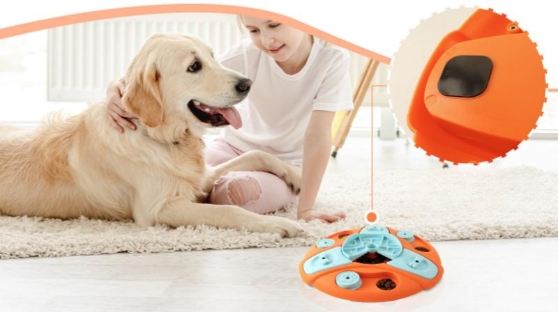 girl and a dog with puzzle feeder
