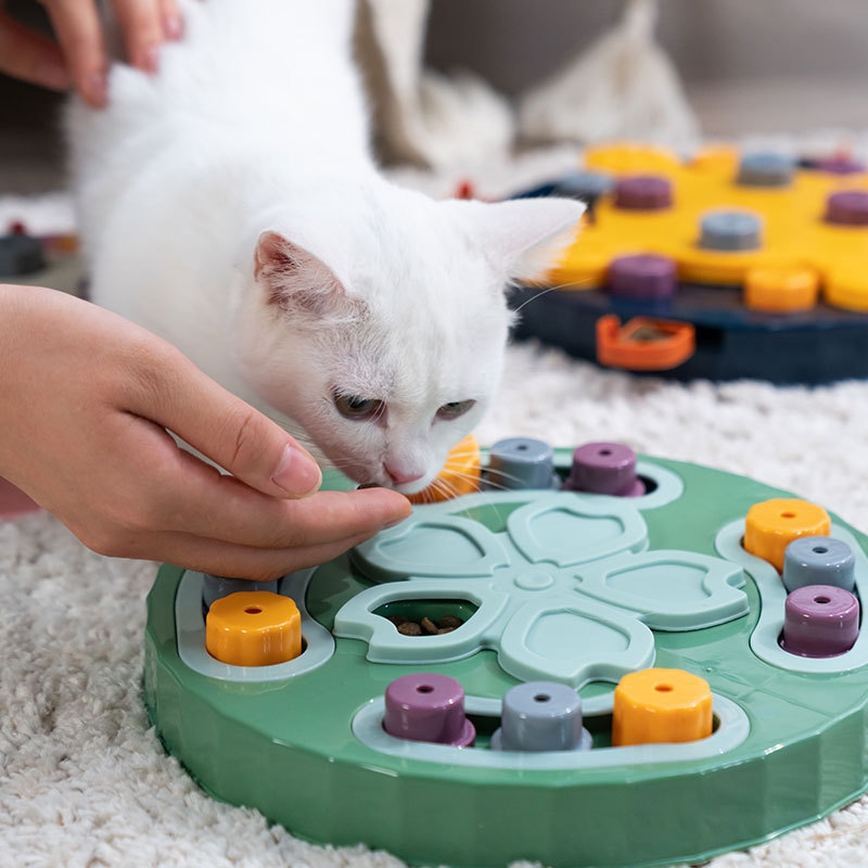 the cat using the puzzle feeder