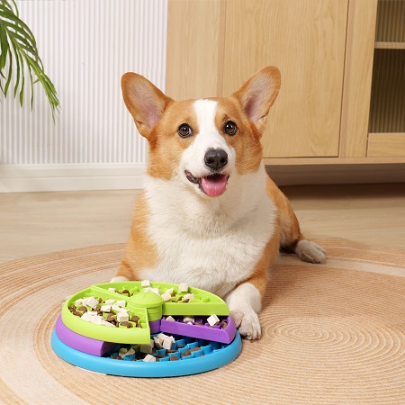 games and treats for dogs
